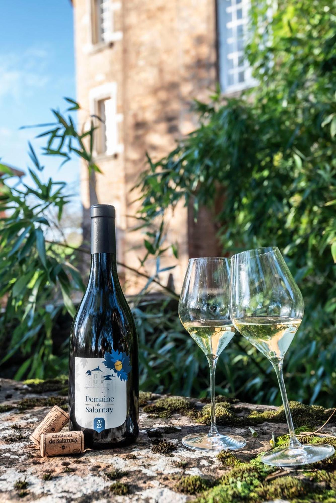 Chateau De Salornay Hurigny 외부 사진